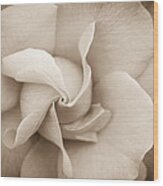 Pinwheel Rose Wood Print