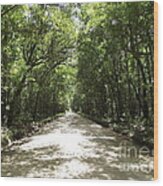 Plantation Road Wood Print