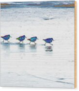 Plovers In A Row Wood Print