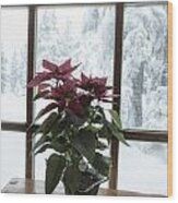 Poinsettia At Timberline Lodge Wood Print