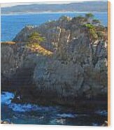 Point Lobos Number 9 Wood Print