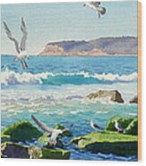 Point Loma Rocks Waves And Seagulls Wood Print