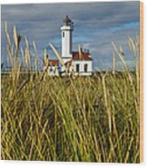 Point Wilson Lighthouse And Grassy Foreground Wood Print