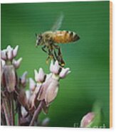 Pollen Dance Wood Print