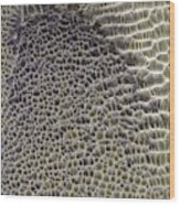 Polygonal Dunes On Mars Wood Print