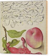 Pomegranate, Worm, And Peach Joris Hoefnagel, Flemish Wood Print