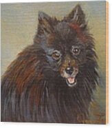 Pomeranian Wood Print