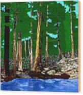 Pond In The Forest Wood Print