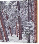 Ponderosa Pines Grand Canyon Np Wood Print