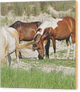 Ponies Of Assategue Wood Print