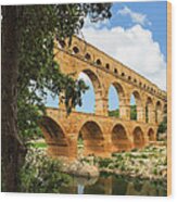 Pont Du Gard Wood Print