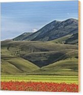 Poppies And Mountains Wood Print