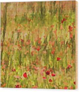 Poppies Of Tuscany Wood Print