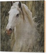 Portrait Of A Horse God Wood Print