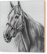 Portrait Of A Horse Wood Print