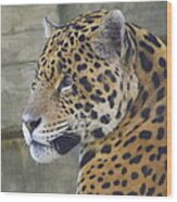 Portrait Of A Jaguar Wood Print