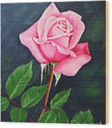 Portrait Of A Rose Wood Print