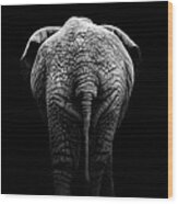 Portrait Of Elephant In Black And White Ii Wood Print