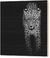 Portrait Of Leopard In Black And White Ii Wood Print