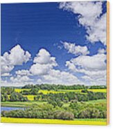 Prairie Panorama In Saskatchewan Wood Print