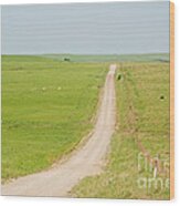 Prairie Road Wood Print