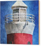 Private Lighthouse Wood Print