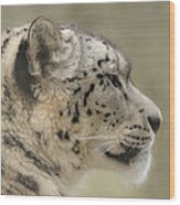 Profile Of A Snow Leopard Wood Print