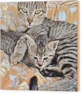 Proud Mother Cat And Her Kitten Wood Print