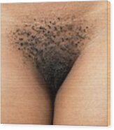 Pubic Hair Of An African Woman Wood Print By Tony Camacho