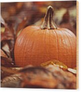 Pumpkin In Leaves Wood Print