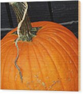 Pumpkin Wood Print
