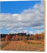 Pumpkin Patch At Rota Springs 3 Wood Print