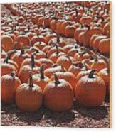 Pumpkins Pumpkins And More Pumpkins 3 Wood Print