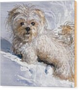 Puppy In Snow Wood Print