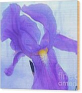 Purple And Blue Iris Wood Print