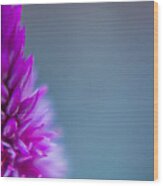 Purple Blur Wood Print