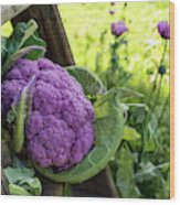 Purple Cauliflower Wood Print