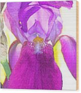 Purple Iris Watercolor Wood Print