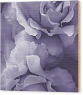 Purple Lavender Roses Wood Print