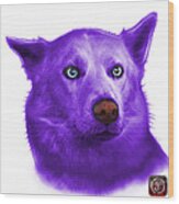 Purple Mila - Siberian Husky - 2103 - Wb Wood Print