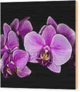 Purple Orchids Wood Print