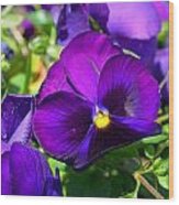 Purple Pansies Wood Print