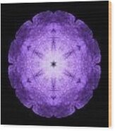 Purple Petunia I Flower Mandala Wood Print