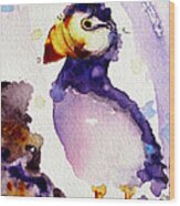 Purple Puffin Wood Print