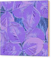 Purple Rose Clippings 1 Wood Print