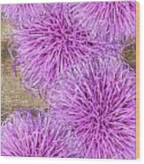 Purple Thistle - 2 Wood Print