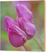 Purple Tulips Wood Print