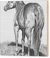 Quarter Horse Assets Wood Print