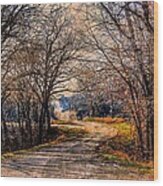 Quiet Country Road Wood Print