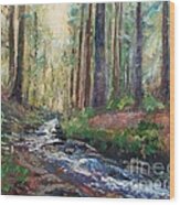 Quiet Woods With Creek Wood Print